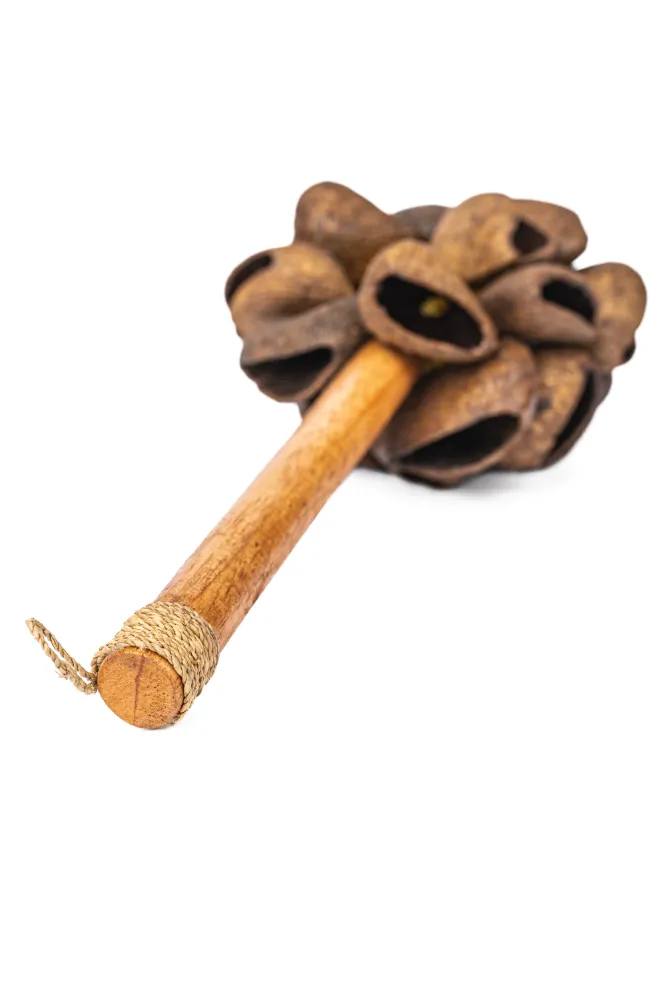 מקוש ערמונים