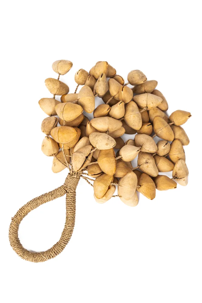 מובייל קליפות שקדים
