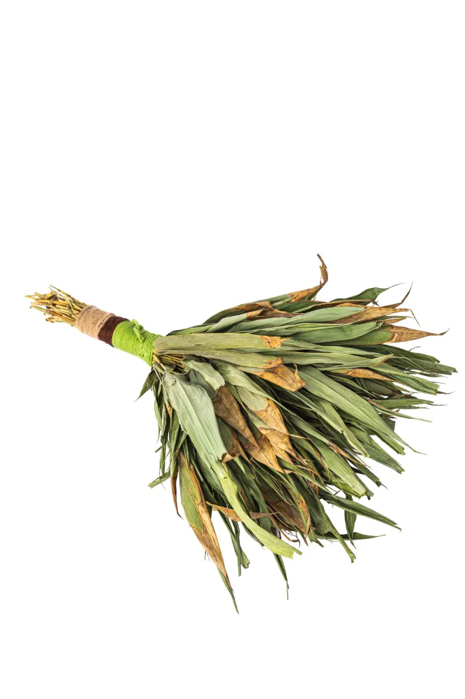 צ'קאפה עבודת יד אקליפטוס
